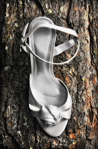 Wedding Shoes — Stock Photo, Image
