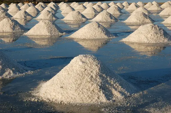 stock image Salt field
