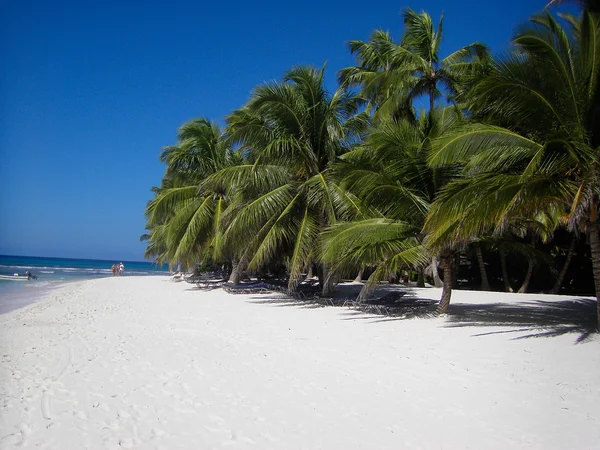 Dominikanska tunnelba beach — Stockfoto