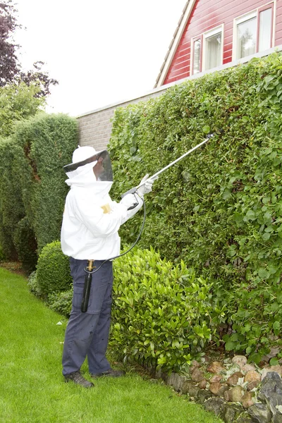 Homem exterminando vespas — Fotografia de Stock