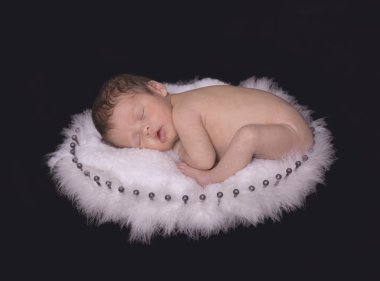 Newborn in Feather Nest clipart