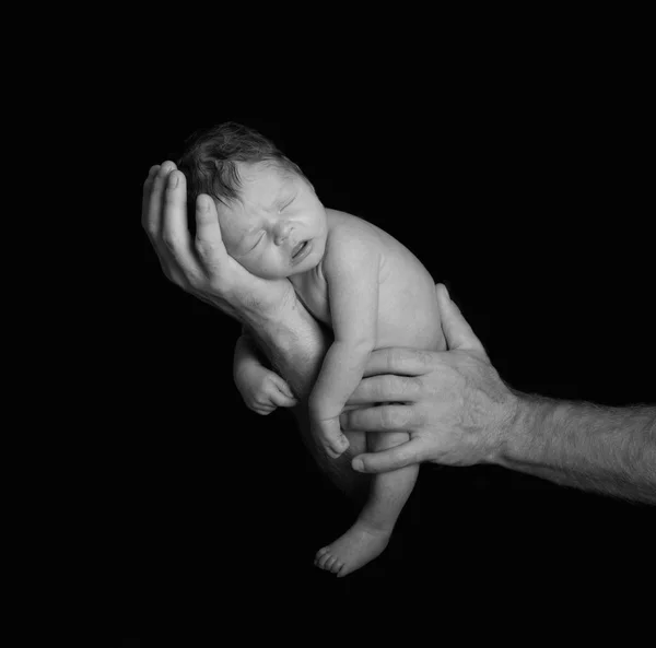 Newborn Baby Held in Father's Hands — Stock Photo, Image