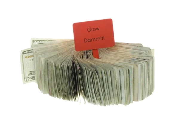 Twenty Dollar Bills fanned out with Wooden Sign — Stock Photo, Image