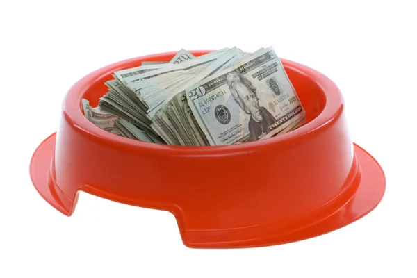 Dwadzieścia banknotów dolarowych w czerwony pies jedzenie miska Zdjęcia Stockowe bez tantiem