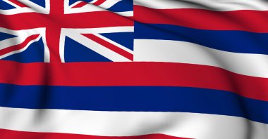 Hawaii flag - USA state flags collection clipart