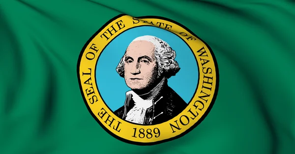 Washington bayrak - ABD devlet koleksiyonu bayraklar. — Stok fotoğraf