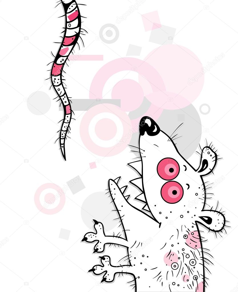 The pink mouse (rat)