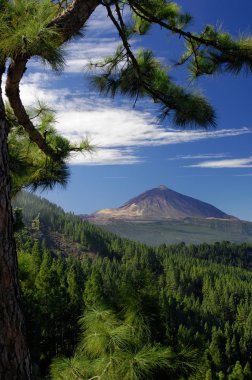 Teide mountain and Orotava valley clipart