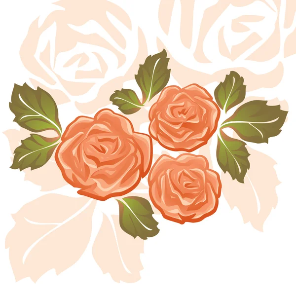 Оранжевые розы — стоковый вектор
