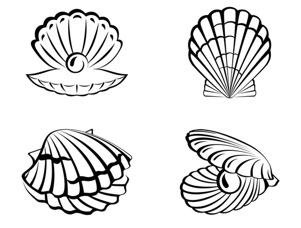Set di shell Illustrazione Stock