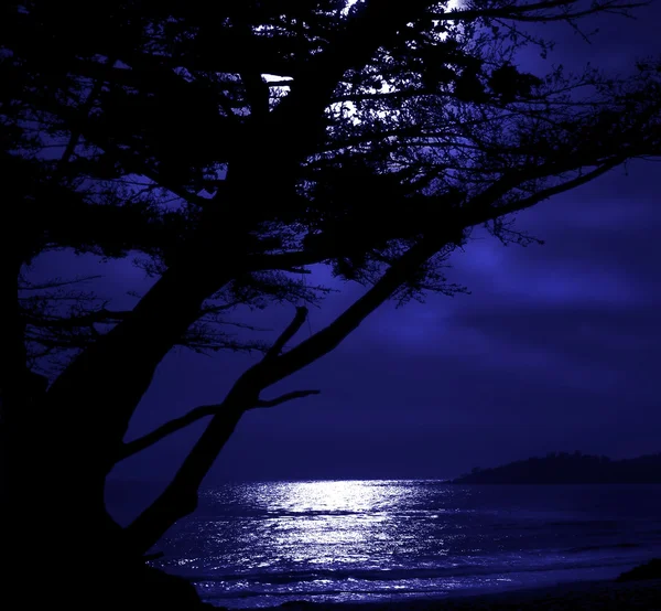 Carmel Moonrise — Stockfoto