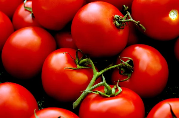 Органічні помідори — стокове фото