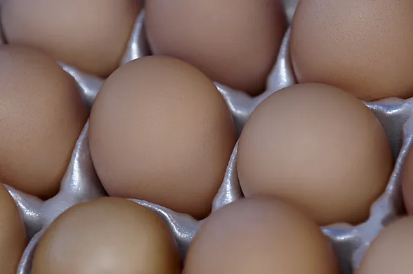 Huevos pardos — Foto de Stock