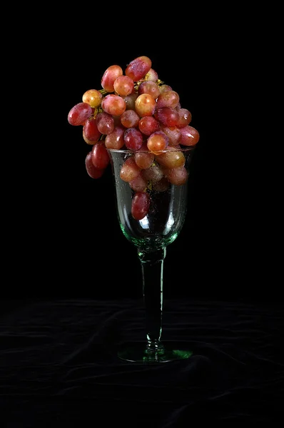 Glass of Red Grapes — Stock Photo, Image
