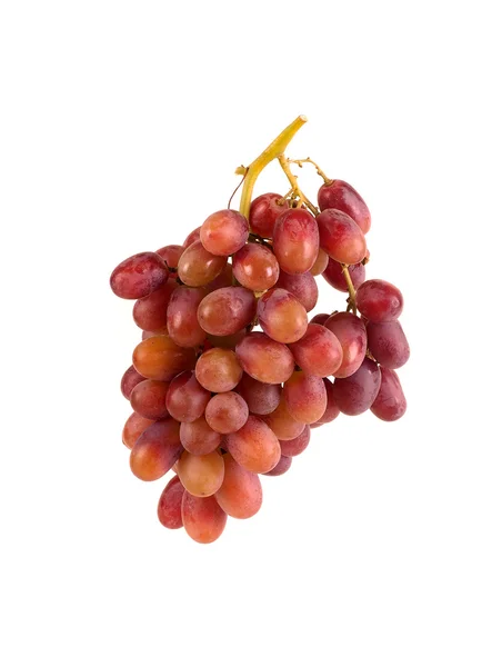 Red Organic Grapes on The Vine — Stock Photo, Image