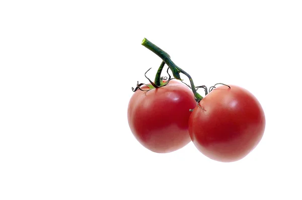 Organic Tomatoes — Stock Photo, Image