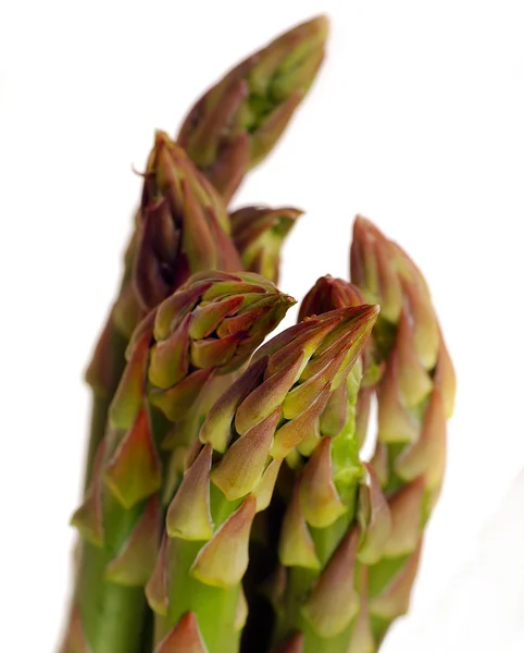 stock image Asparagus