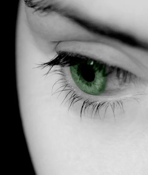 Um olho verde — Fotografia de Stock