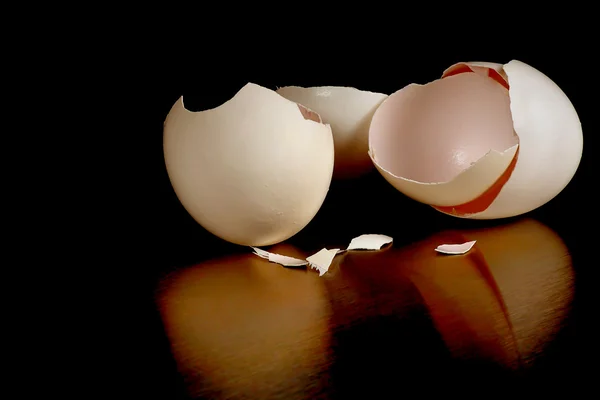 Cáscaras de huevo — Foto de Stock