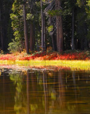 Yosemite Pond clipart