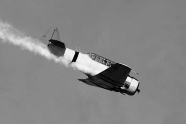 Dalış bombardıman uçağı