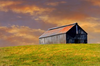 Kentucky Horse Farm clipart