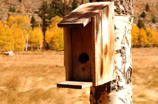 Birdhouse — Fotografie, imagine de stoc