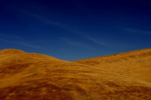 芝生の丘 — ストック写真