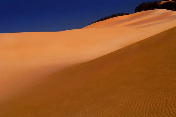 Oceana písečné duny — Stock fotografie