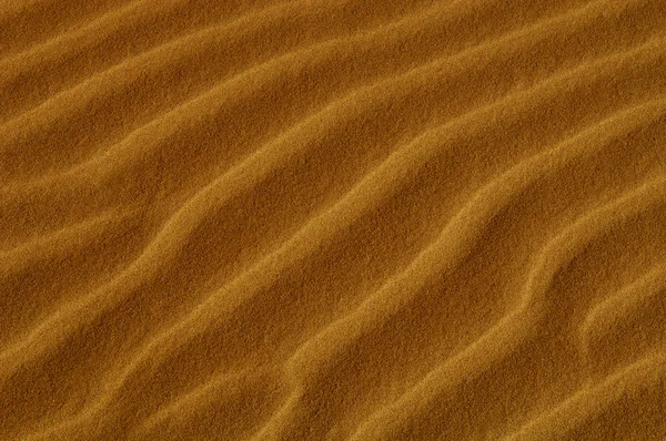 オセアナ砂丘 — ストック写真