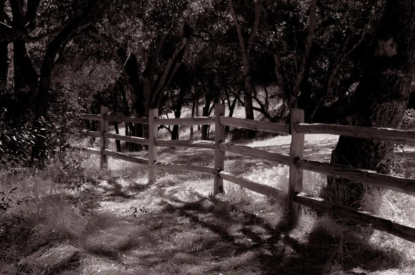 Долина Кармель 2 — стоковое фото