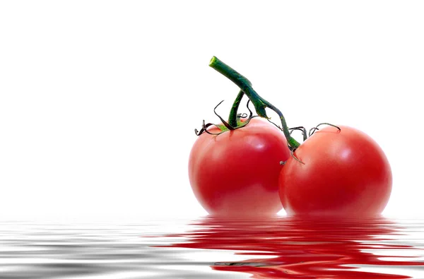 Tomates orgânicos — Fotografia de Stock