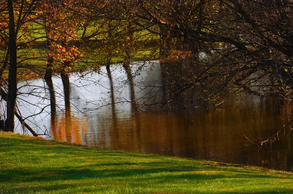 ケンタッキーの池 — ストック写真