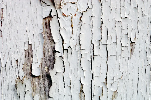Kırık beyaz boya — Stok fotoğraf