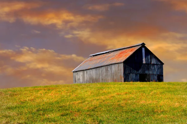 Kentucky at çiftliği — Stok fotoğraf