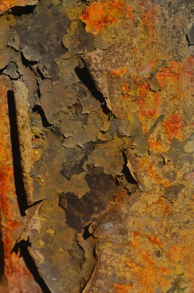 Paslı demiri — Stok fotoğraf