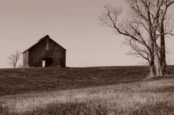 Samotny stodoła — Zdjęcie stockowe