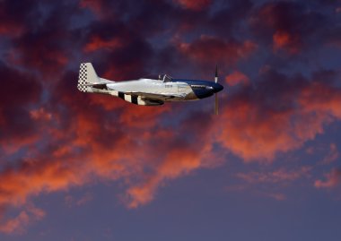 P51 Mustang clipart