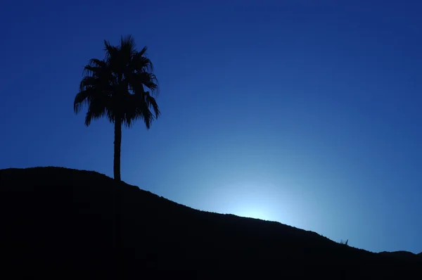 Nascer do sol no deserto — Fotografia de Stock