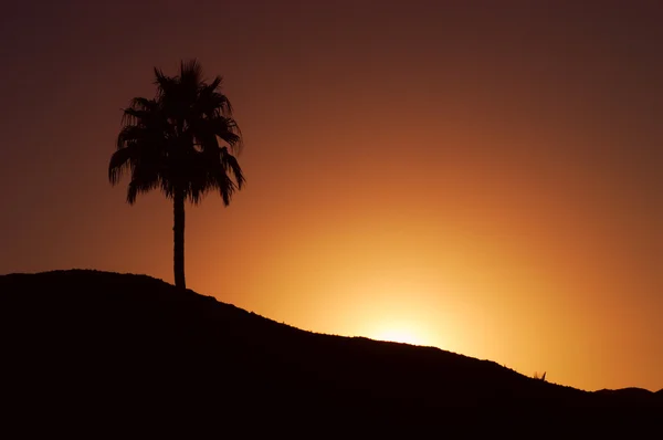 Desierto puesta de sol — Foto de Stock