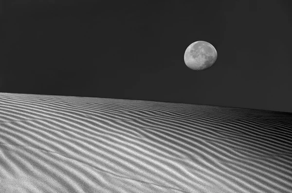 Měsíc nad duny — Stock fotografie
