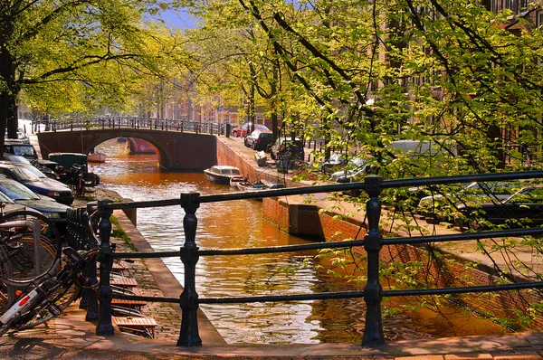 Весна в Амстердаме — стоковое фото