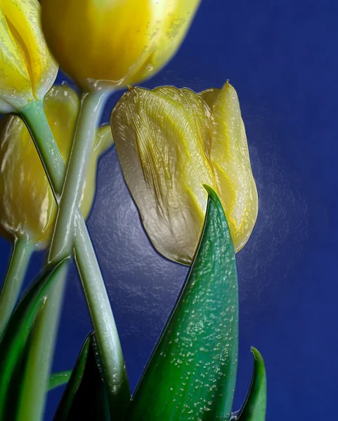Цифровой цветок — стоковое фото