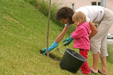 Gardening clipart