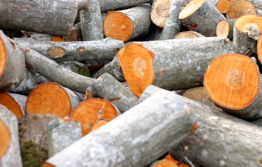 Timber pile clipart