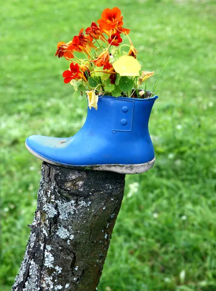Grappige bloem decoratie — Stockfoto