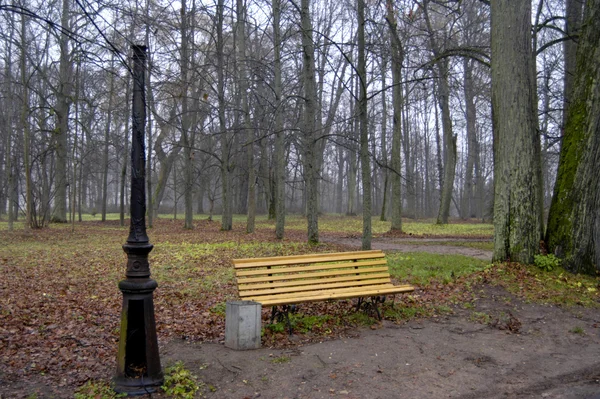 Park bench and broken lamppost — Stock Photo, Image