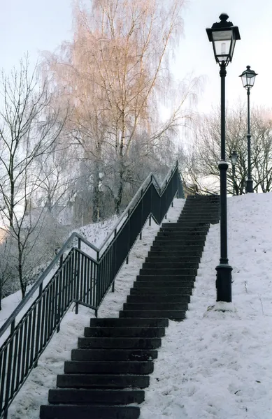 stock image Winter scenery