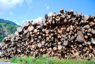 Woodpile