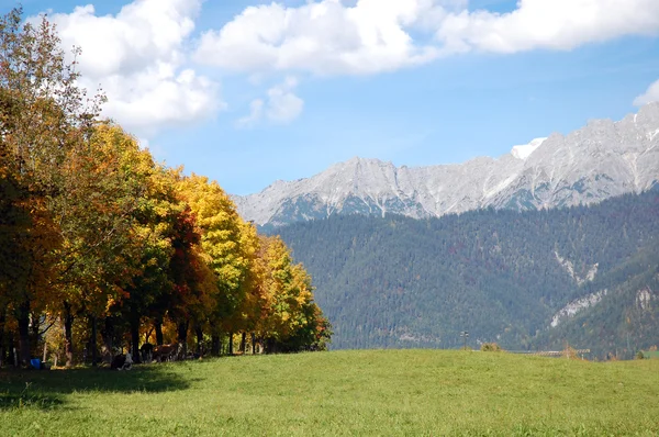 Herbst in den österreichischen Alpen — Stockfoto